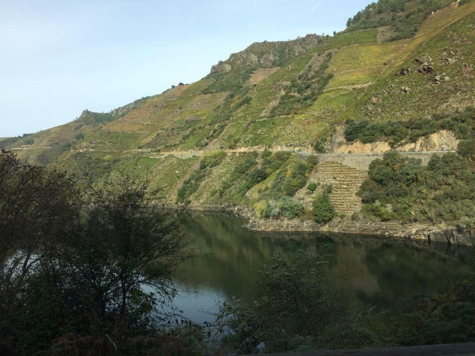 Acogedor Apartamento Ribeira Sacra Monforte De Lemos Ngoại thất bức ảnh