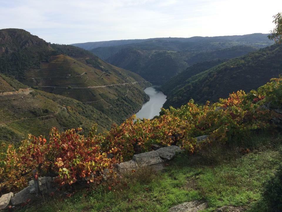 Acogedor Apartamento Ribeira Sacra Monforte De Lemos Ngoại thất bức ảnh